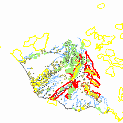 Export Image